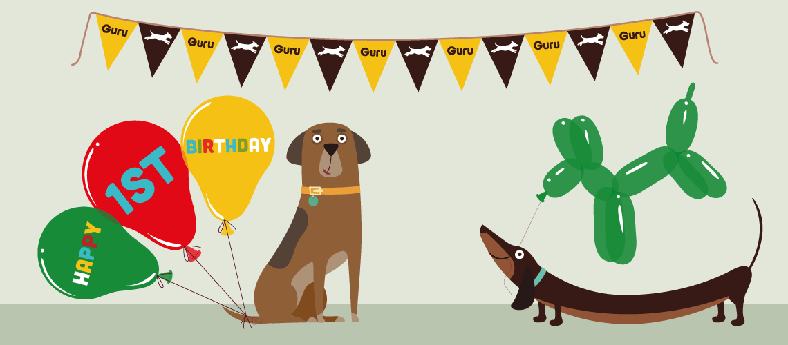 Healthy Dog Food Guru Pet Food