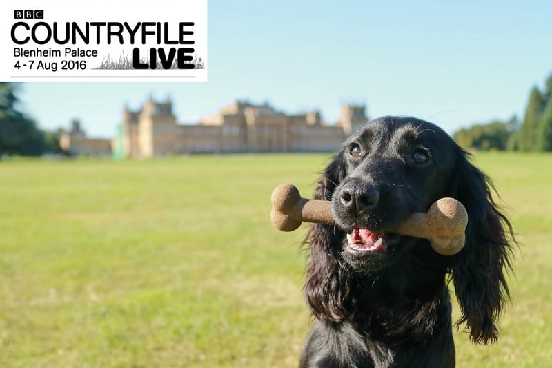 Guru at Countryfile Live