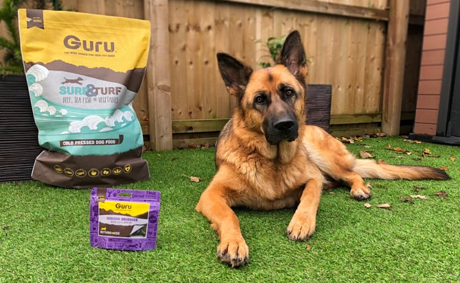Growing with Guru Puppy Diet Changes Guru Pet Food