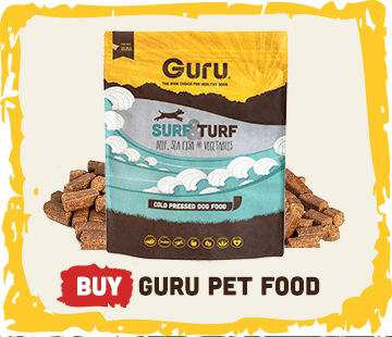 Buy Guru Healthy Dog Food Online