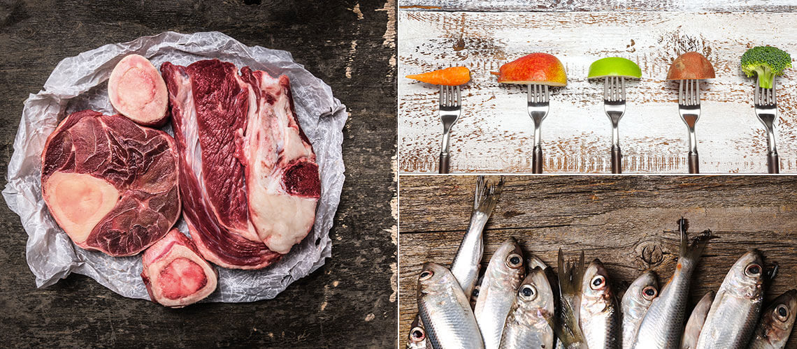 Healthy Cold Pressed Dog Food Free UK Delivery Guru Petfood