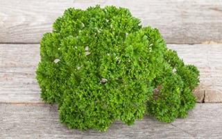 Parsley