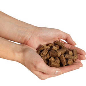 Sample Dog Food Pack