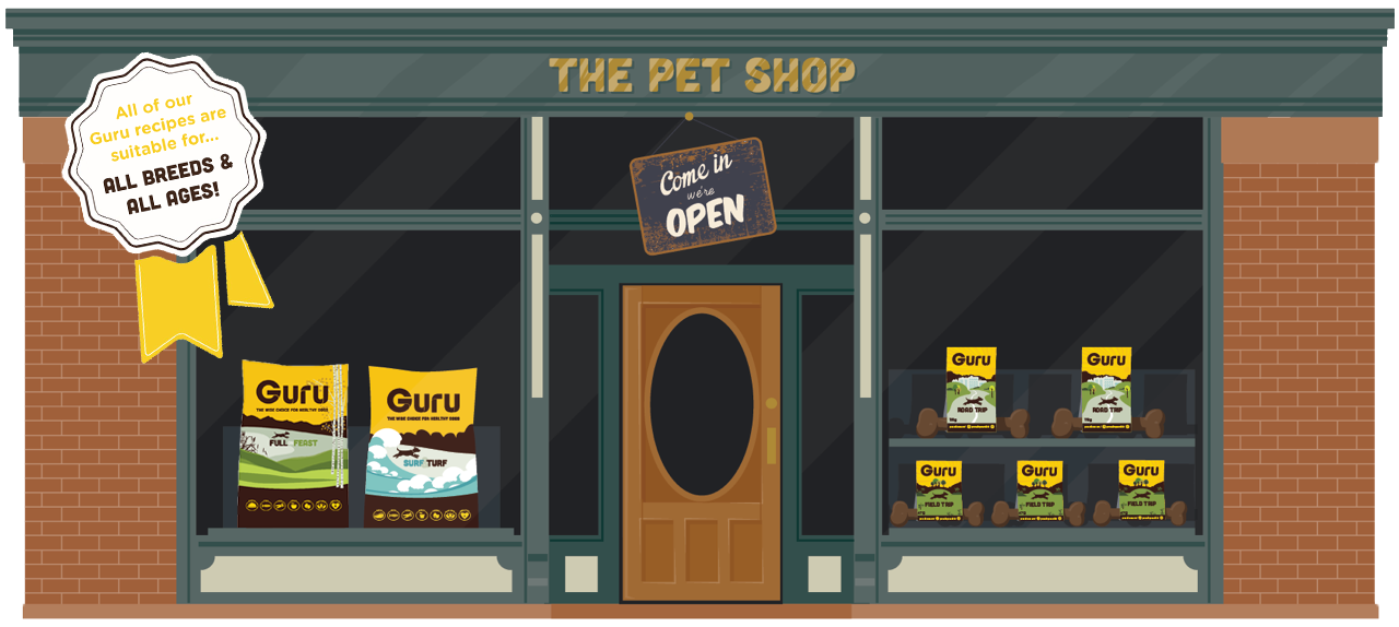 Shop Healthy Dog Food Guru Pet Food