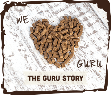 The Guru Story